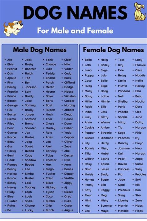 Dog Names: 100+ Most Popular Male and Female Dog Names | Female dog ...