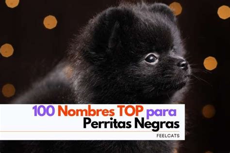 100 Nombres de Perritas Negras (Bonitos y Originales) | FeelCats