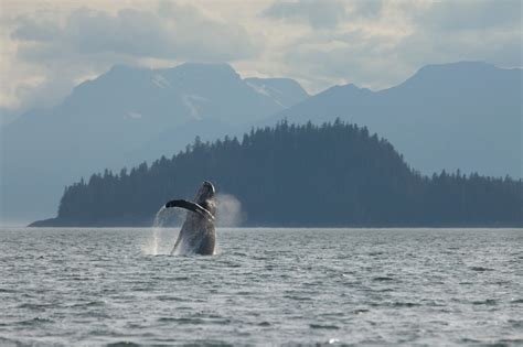 Best Techniques for Landscape Photography in Alaska