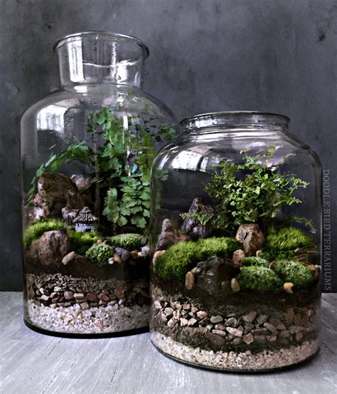 Gallery - Doodle Bird Terrariums in 2020 | Succulent terrarium, Terrarium jar, Terrarium