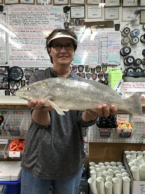 3 Pound Record Sea Mullet 11/12/20 | Bob's Bait & Tackle