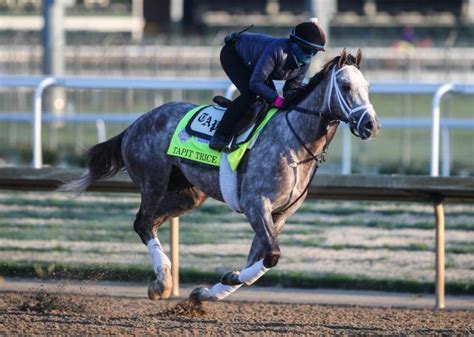 18 horses in Kentucky Derby 2023: Jockeys, records, trainers ...