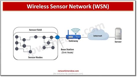 Wireless Sensor Network (WSN): Architecture, Types, Applications, Pros & Cons » Network Interview