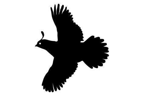 Quail Silhouette Clip Art