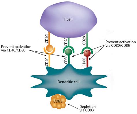 盆 昆虫 ノイズ cd cells パントリー 十分な 見分ける