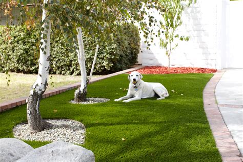 Pet Artificial Grass Installation - Green-R Turf Landscapes