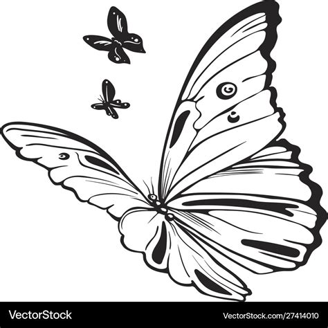 Butterflies black and white Royalty Free Vector Image