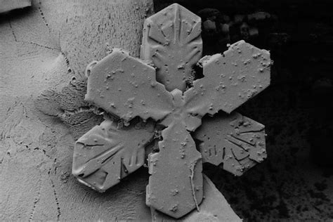 Snowflakes Under an Electron Microscope | WIRED