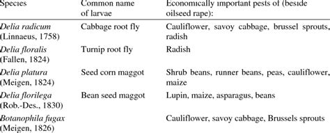 Species of Anthomyiidae (Diptera: Brachycera) with larvae that are... | Download Table