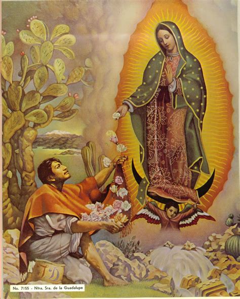 Our Lady of Guadalupe Tilma | Post #140 Jesus Born Christmas, Merry ...