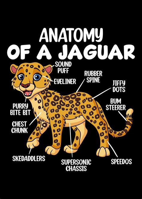 'Anatomy Of A Jaguar' Poster by Hexor | Displate