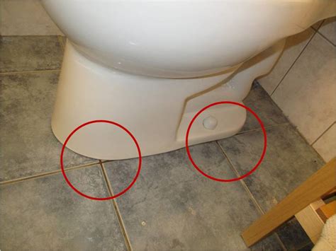 How to Tell If Toilet is Leaking Underneath - Katynel