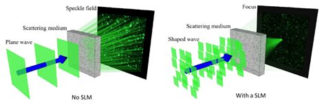 Spatial Light Modulator Applications