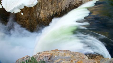 Visit Canyon Village: 2024 Travel Guide for Canyon Village, Yellowstone ...