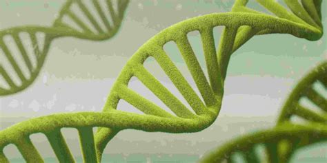 RNA Synthesis – BOC Sciences Blog