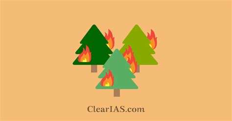 Forest Fires: Causes, Types and Effects - ClearIAS