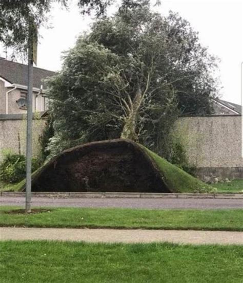 Hurricane Ophelia damage in pictures as storm wreaks havoc across Ireland and the UK | UK | News ...