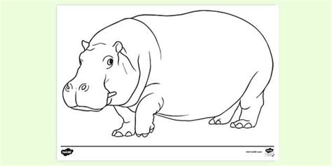 FREE! - Hippo Colouring Page | Colouring Sheets - Twinkl