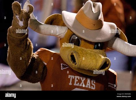 Texas Longhorns Mascot High Resolution Stock Photography and Images - Alamy