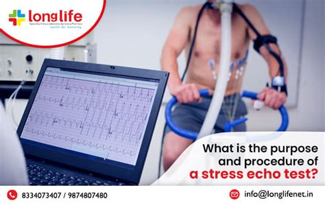 What is the purpose and procedure of a stress echo test?