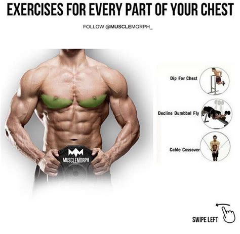 Comment cibler le bas des pecs Core Workout Videos, Gym Workout Tips, Bodyweight Workout, Fun ...