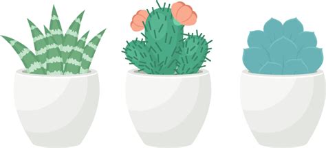 Download How To Create A Trio Of Succulents In Adobe Illustrator - Transparent Background ...