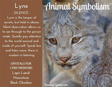 Animal Medicine: Lynx by Lizzy Baxter - Current Updates - Information About Crystals As A ...