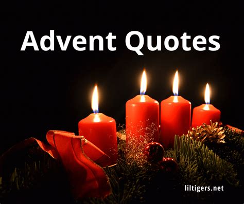 100 Best Advent Quotes, Sayings, and Wishes (2022) - Lil Tigers