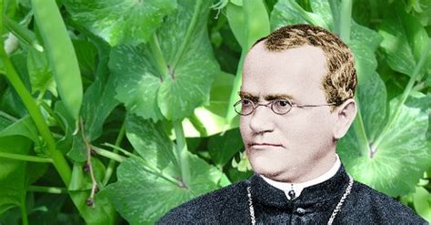 Biografi Gregor Mendel – Coretan