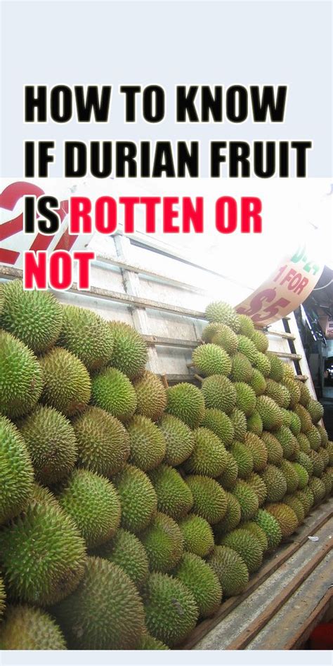 Durian Fruit Smell Description - Twin Fruit