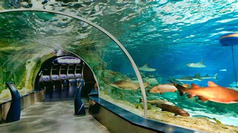 Aquariums in Istanbul: Tips, Advices & More | HeyTripster