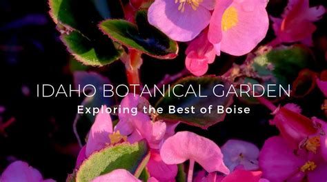 Exploring the Best of Boise: Idaho Botanical Garden