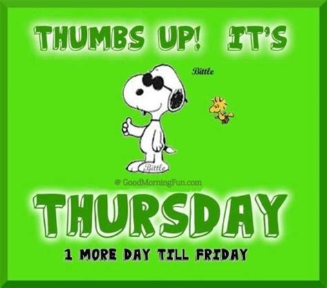 Funny Happy Thursday Quotes and Wishes - Good Morning Fun