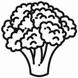 Flor Couve Chou Colorare Disegno Choux Cauliflower Coliflor  sketch template