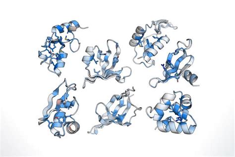 Protein Folding Stability at Large Scale