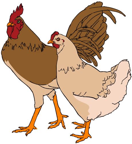 File:Rooster and hen clipart 01.svg - Wikimedia Commons
