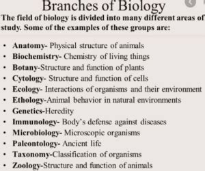 Main Branches of Biology class 9 with Examples - Ox Science