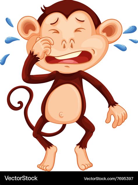 Mn monkey crying Royalty Free Vector Image - VectorStock