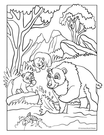 Forest Animal Coloring Pages - Homeschool Share