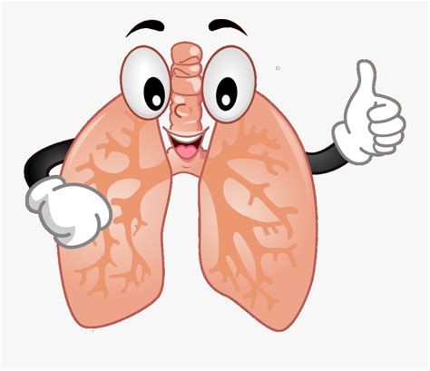 Lungs Cartoon , Free Transparent Clipart - ClipartKey