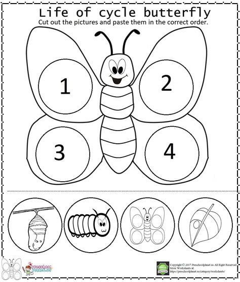 Butterfly Life Cycle Worksheet For Kids