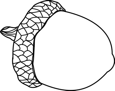 Free Acorn Pictures, Download Free Acorn Pictures png images, Free ClipArts on Clipart Library