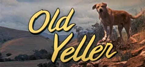 Old Yeller Ending Explained: How Does The Disney Classic End? - OtakuKart