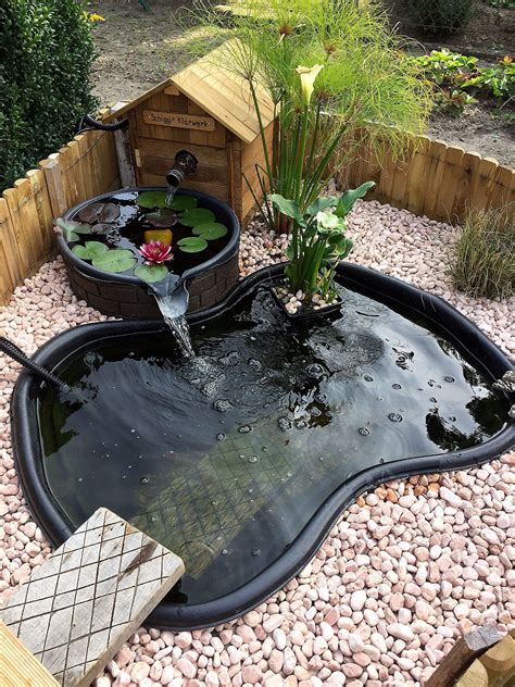 Idea para el patio | Small backyard ponds, Ponds backyard, Fish ponds backyard