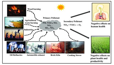 The different sources of primary and secondary air pollutants and their ...