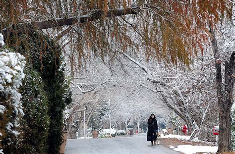 Winter storm brings three inches of snow to Las Cruces | Las cruces, Sun news, New mexico