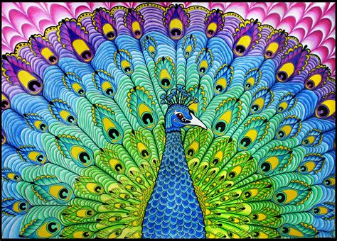 Peacock art | Peacock art, Peacock drawing, Peacock