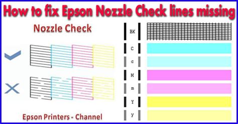 How To Fix Epson Nozzle Check Lines Missing Any Printer [L3110-L3156] - PRINTER SOLUTIONS