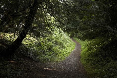 Swithland Wood's ancient legacy | AA RatedTrips.com