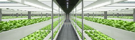 Indoor Farming - National Design Build Services